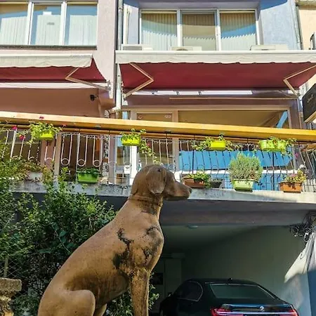 La Primavera Spacious * Φιλιππούπολη