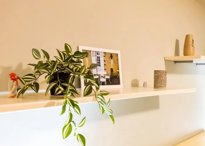 La Primavera Spacious Filibe