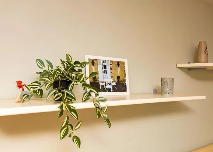 La Primavera Spacious Daire Filibe